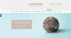 Desktop Screenshot of cadiot-badie.com